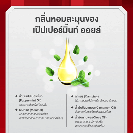 ยาหม่องน้ำ เซียงเพียว สูตร 2 ขนาด 25 ซีซี จำนวน 3 ชิ้น_2